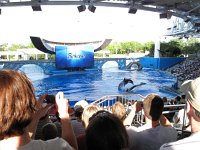 IMG_0810 - Seaworld - Shamu Stadium - Believe.JPG