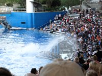 IMG_0836 - Seaworld - Shamu Stadium - Believe.JPG