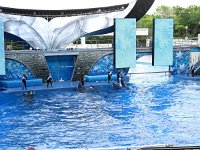 IMG_0837 - Seaworld - Shamu Stadium - Believe.JPG