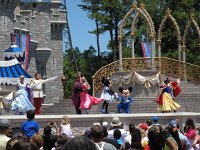 IMG_0883 - Disney Magic Kingdom - Dream Along with Mickey.JPG