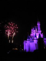 IMG_0958 - Disney Magic Kingdom - Wishes.JPG