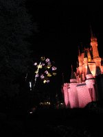 IMG_0960 - Disney Magic Kingdom - Wishes.JPG