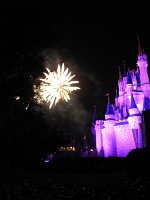 IMG 0963 - Disney Magic Kingdom - Wishes