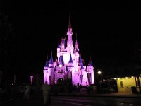 IMG 0971 - Disney Magic Kingdom - Cinderellas Castle