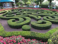 IMG_1025 - Disney Epcot - Flowers and Gardens Festival.JPG