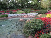 IMG 1037 - Disney Epcot - Flowers and Gardens Festival