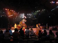 IMG_1161 - Disney Animal Kingdom - Lion King.JPG