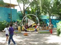 IMG_1176 - Animal Kingdom - Village Beatniks.MP4