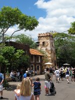 IMG_1206 - Disney Animal Kingdom.JPG