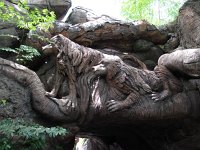 IMG_1212 - Disney Animal Kingdom.JPG