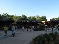 IMG 1276 - Disney Animal Kingdom