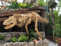 IMG_1479 - Disney Downtown - T-Rex Cafe.JPG