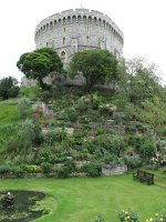 IMG_3664 -  Windsor.JPG