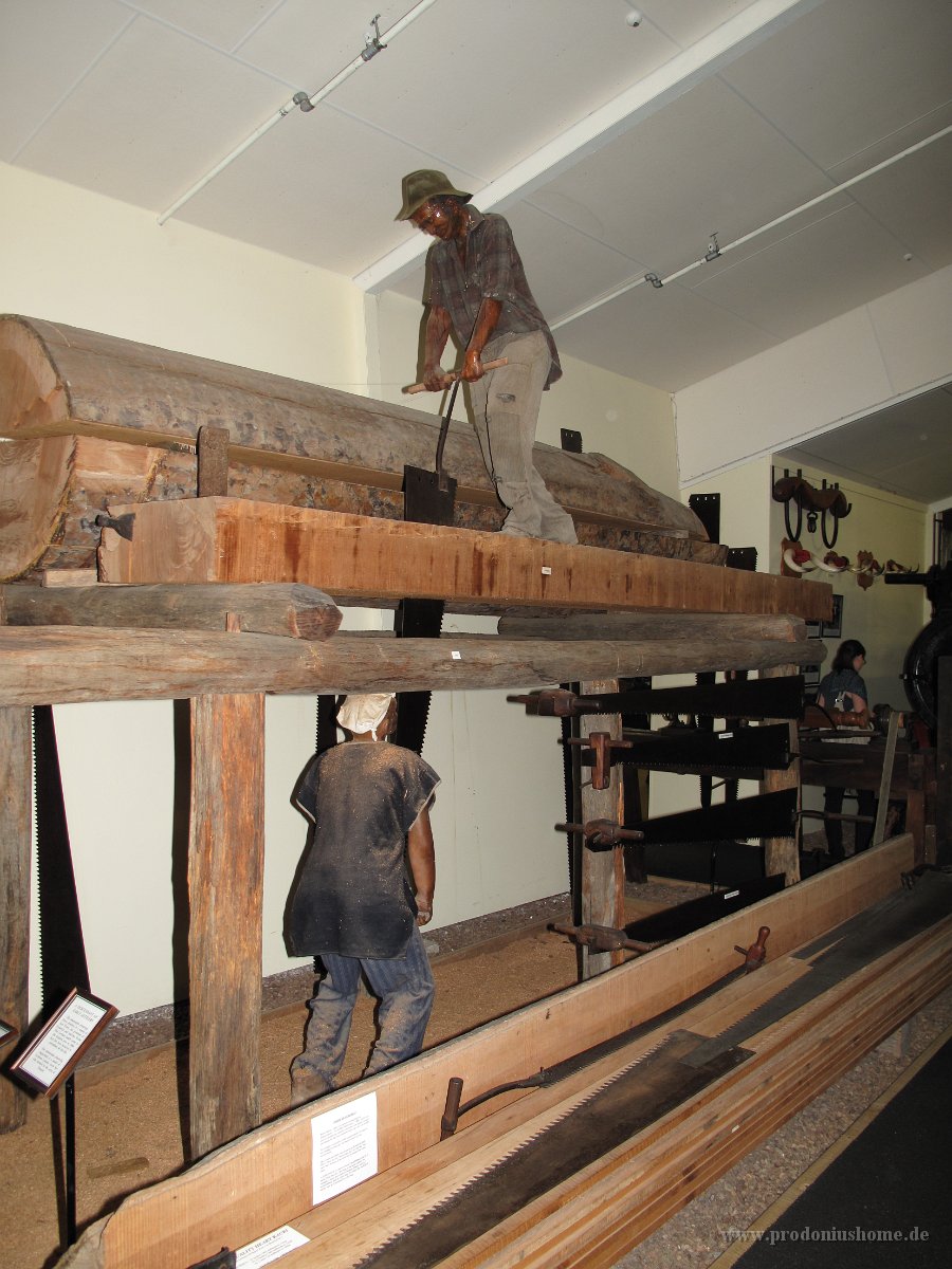 IMG 2356 - Kauri Museum