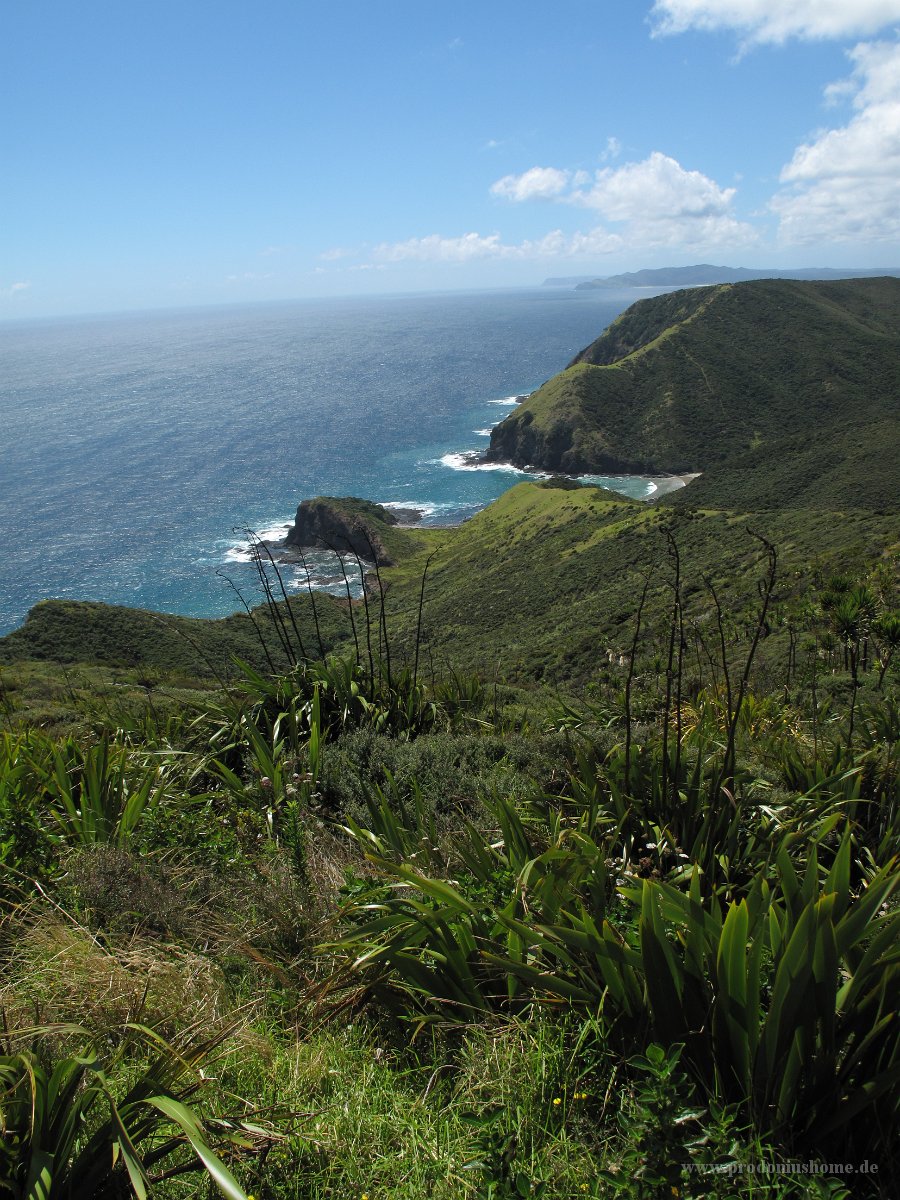 IMG 2405 - Cape Reinga