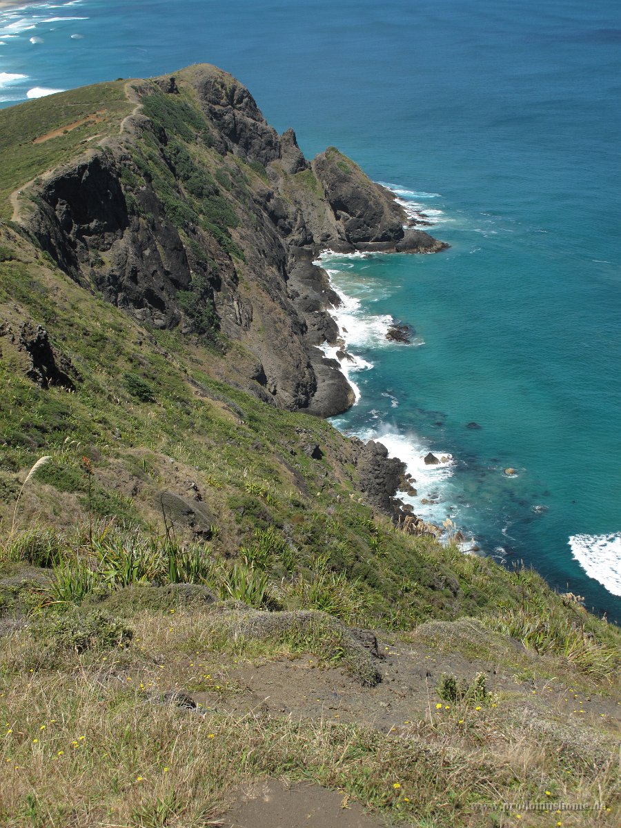 IMG 2411 - Cape Reinga