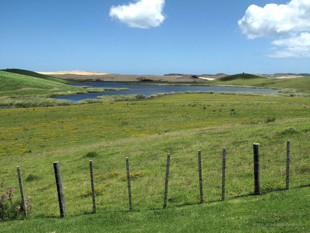 IMG 2429 - Weg von Cape Reinga zurück