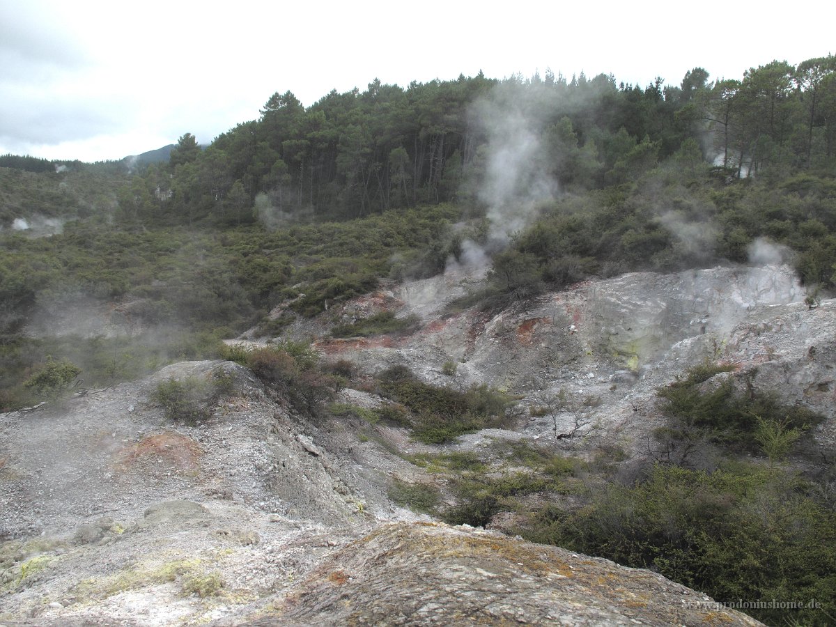 IMG 2559 - Wai-O-Tapu