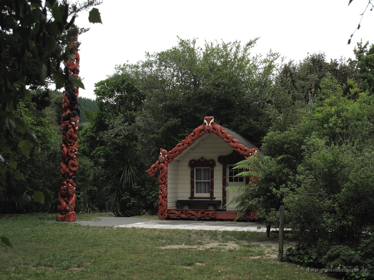 IMG 2581 - Wairakei Terraces