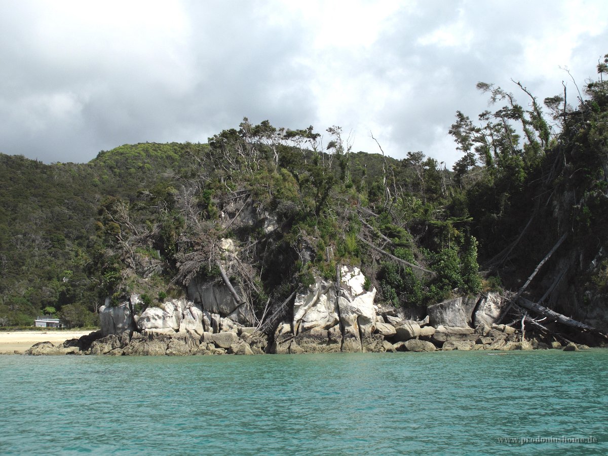 IMG 2680 - Abel Tasman