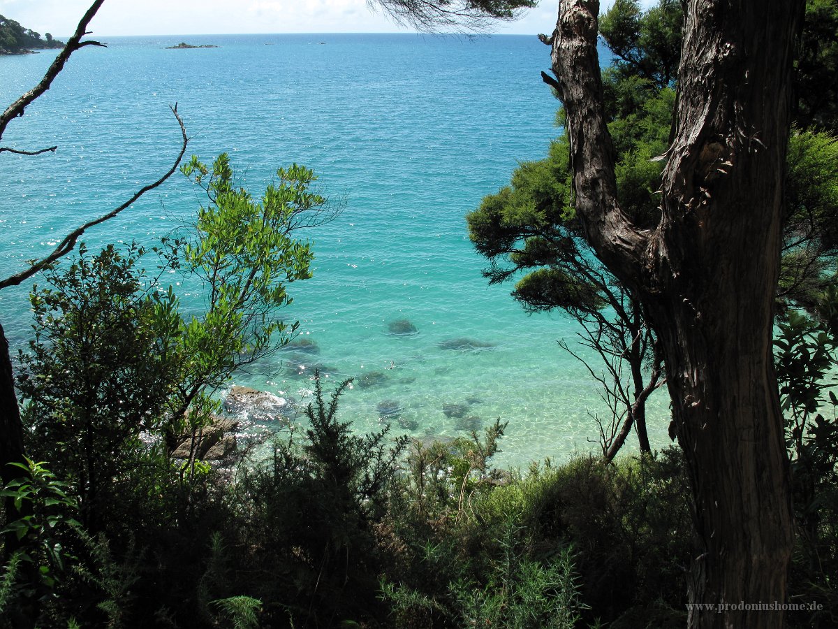 IMG 2695 - Abel Tasman