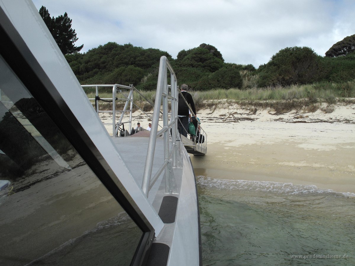 IMG 2703 - Abel Tasman