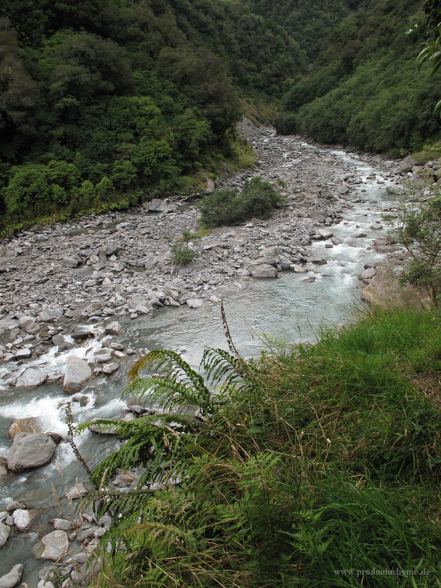 IMG 2846 - Franz Josef