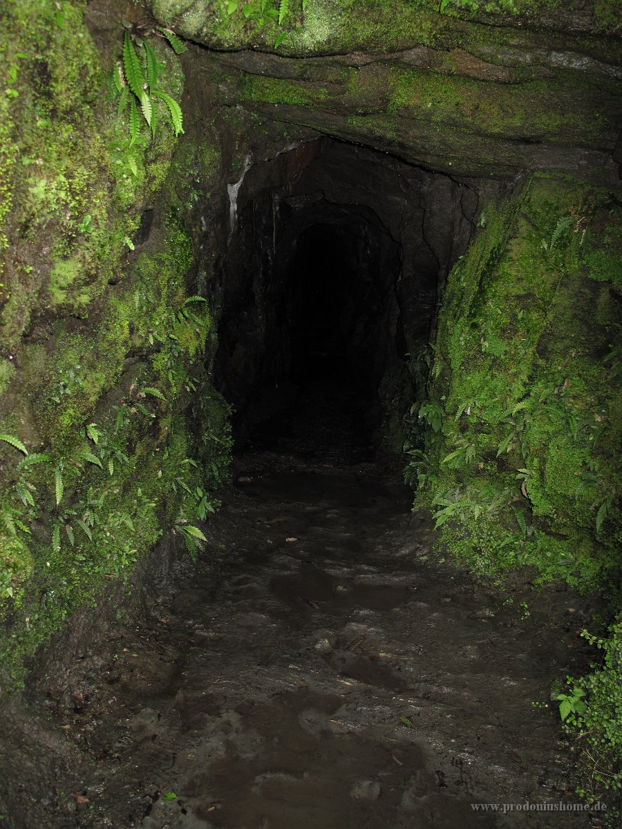 IMG 2849 - Tatare Tunnels - Franz Josef