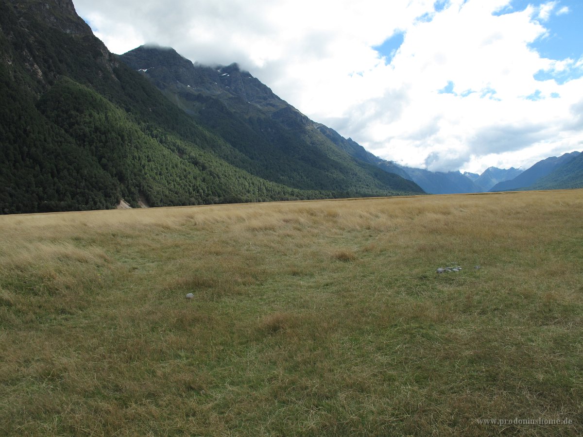 IMG 3106 - Weg zum Milford Sound