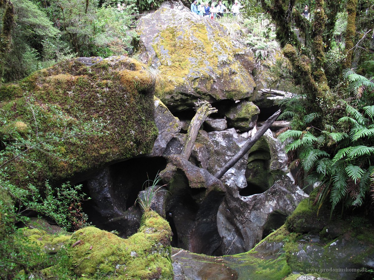 IMG 3139 - Weg zum Milford Sound