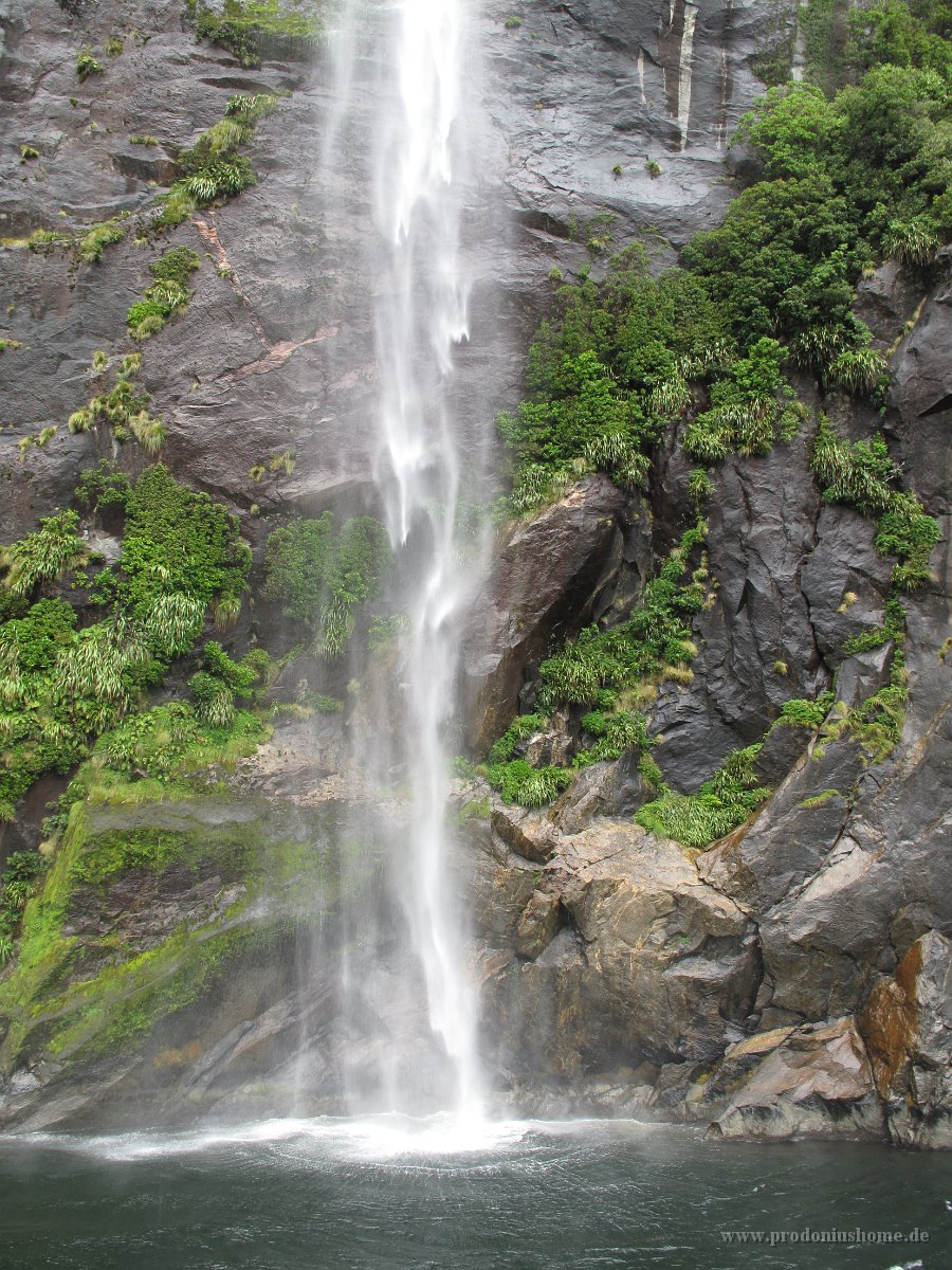 IMG 3146 - Milford Sound