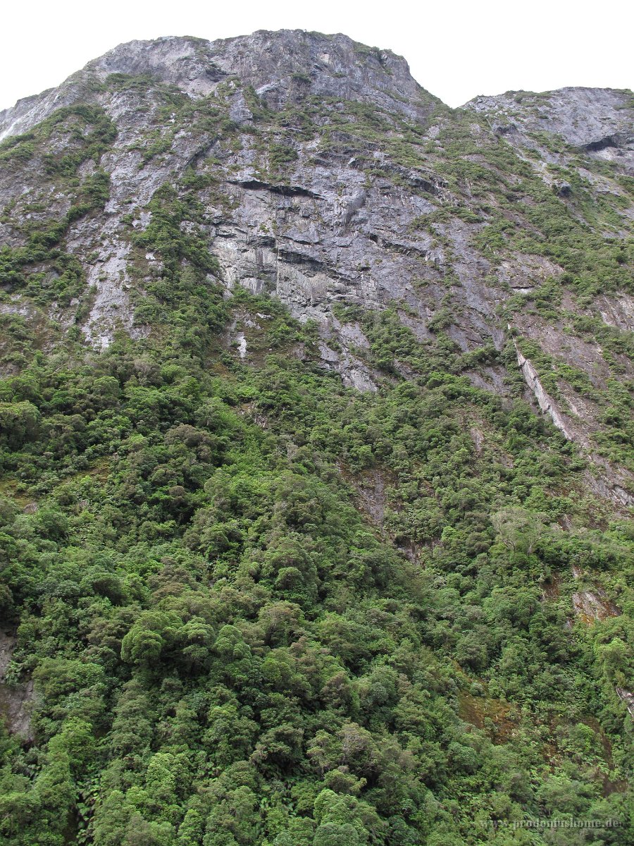 IMG 3179 - Milford Sound