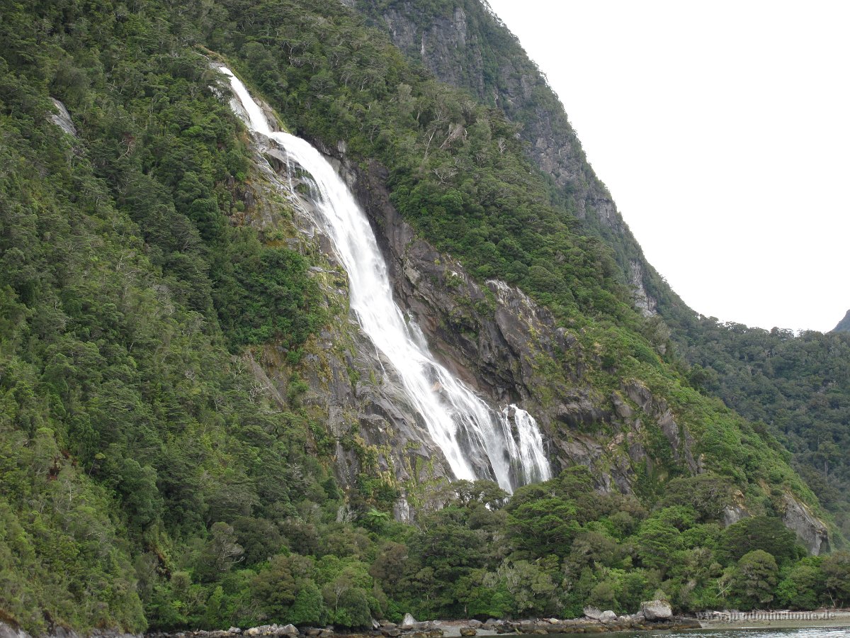 IMG 3190 - Milford Sound