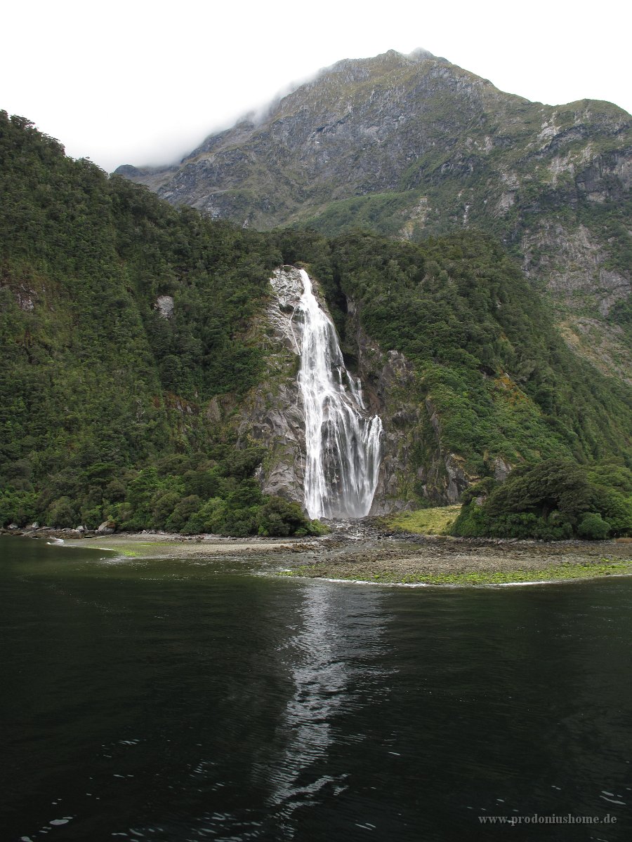 IMG 3195 - Milford Sound