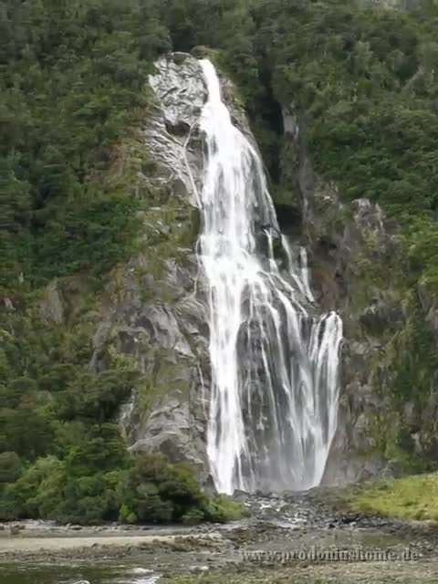 IMG 3196 - Milford Sound