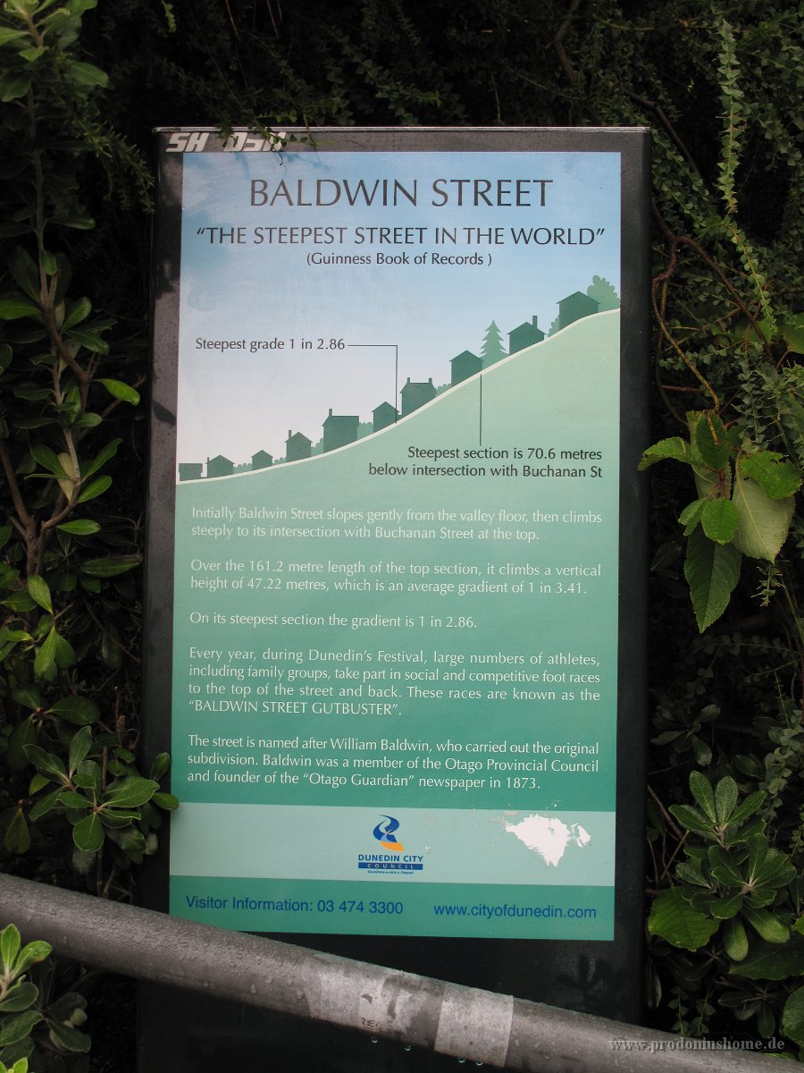 IMG 3263 - Baldwin Street - Dunedin