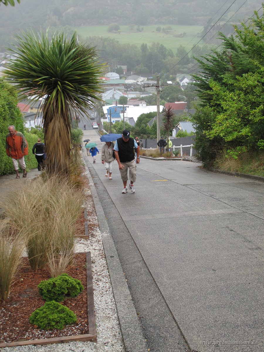 IMG 3264 - Baldwin Street - Dunedin