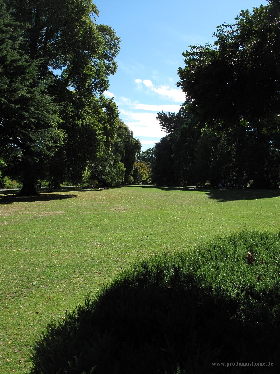 IMG 3328 - Botanischer Garten - Christchurch