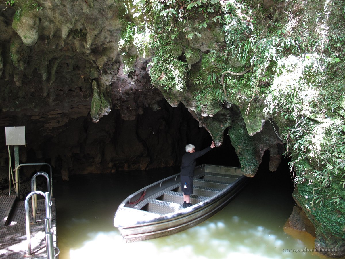 IMG 3525 - Waitomo Caves