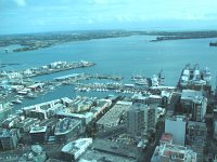 IMG 2277 - Hafen - Auckland