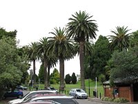 IMG_2307 - Auckland Domain - Auckland.JPG