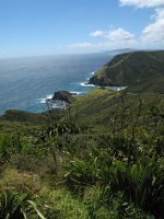 IMG_2405 - Cape Reinga.JPG