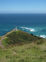 IMG 2408 - Cape Reinga