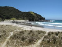 IMG 2418 - Weg von Cape Reinga zurück