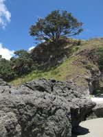 IMG_2420 - Weg von Cape Reinga zurück.JPG