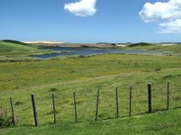 IMG 2429 - Weg von Cape Reinga zurück