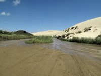 IMG_2432 - Weg von Cape Reinga zurück.JPG