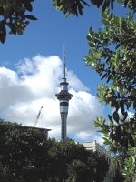 IMG 2509 - Sky Tower Auckland
