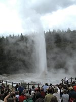 IMG 2575 - Lady Knox Geyser