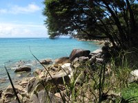 IMG 2700 - Abel Tasman